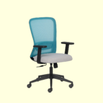 AXION Lite MB Ergonomic Office Chair With Mesh Back and 1D Arms