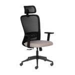 AXION Lite HB Ergonomic Office Chair With Mesh Back & 1D Arms